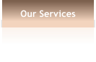 Our Services